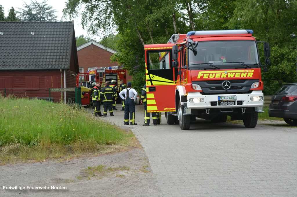 Schule am Moortief