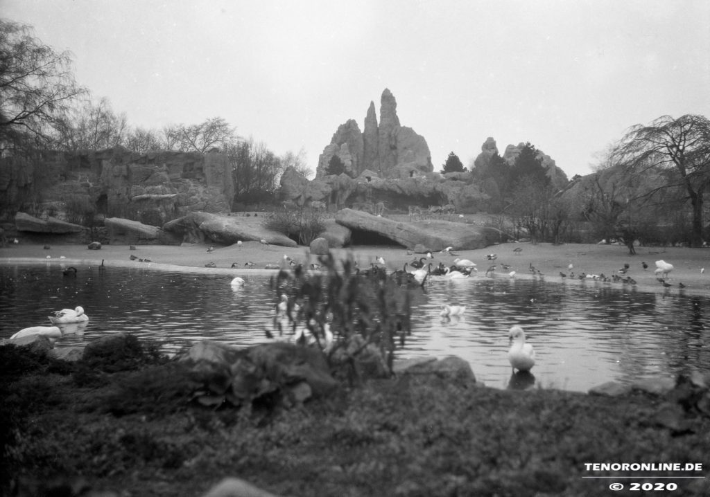 Hamburg-Zoo-historisch-1930